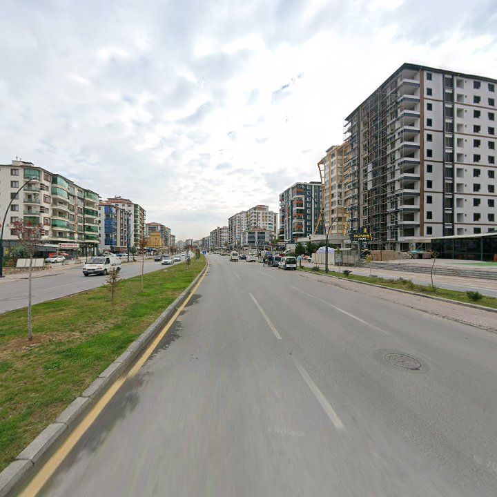 Fotoğraf 10