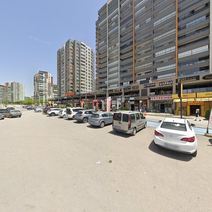 Fotoğraf 9