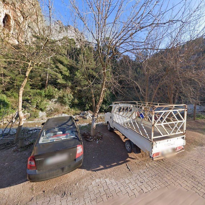 Fotoğraf 10