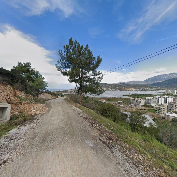 Fotoğraf 8