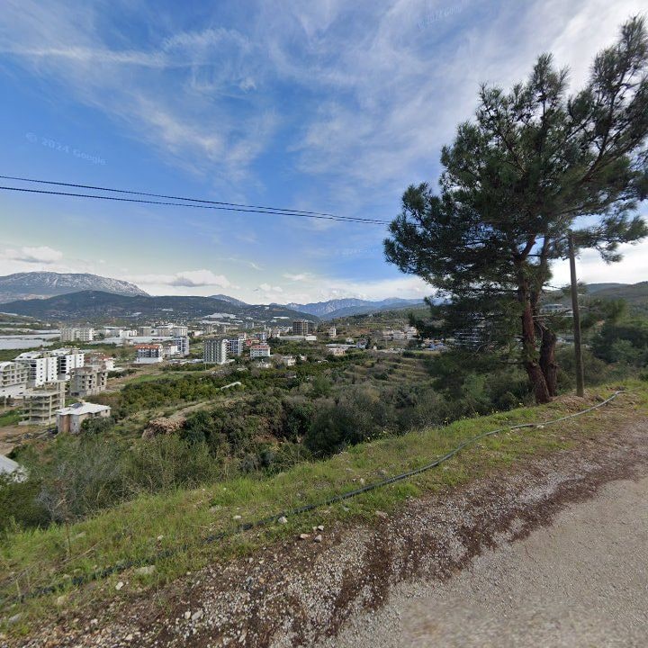 Fotoğraf 9
