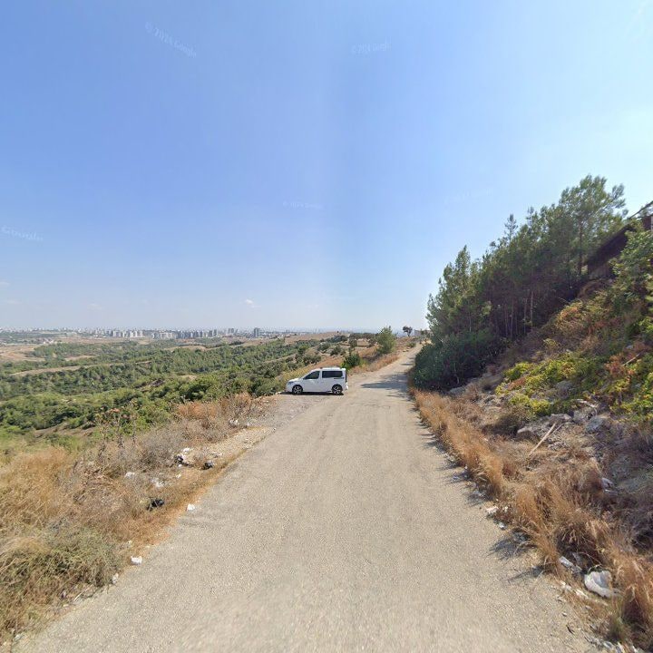 Fotoğraf 10