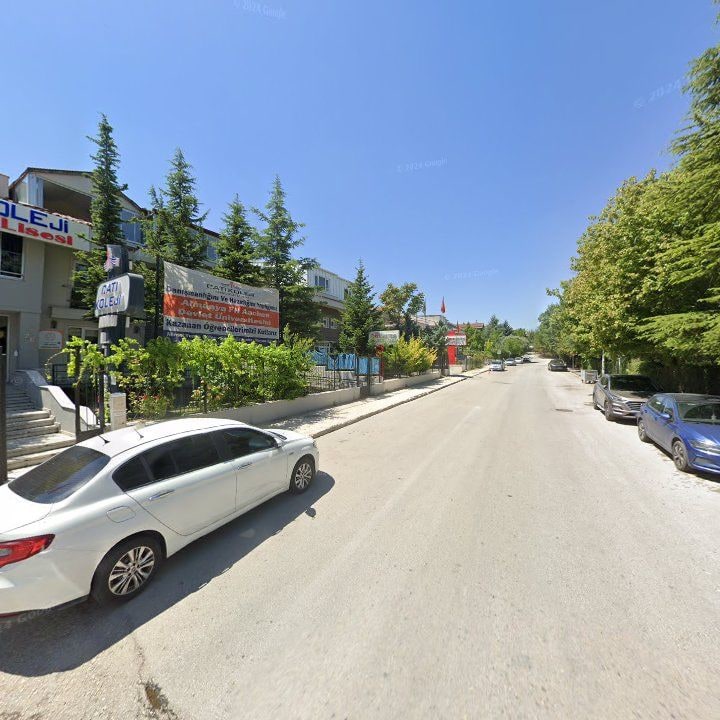 Fotoğraf 12
