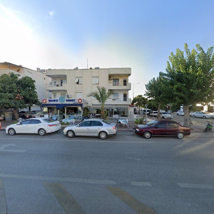 Fotoğraf 11