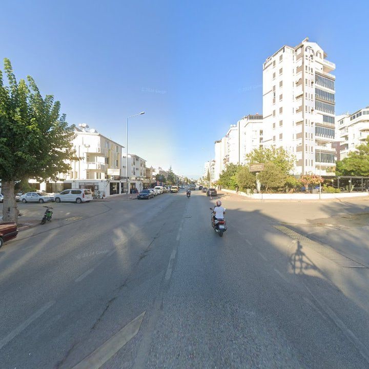 Fotoğraf 12