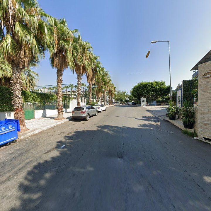 Fotoğraf 11