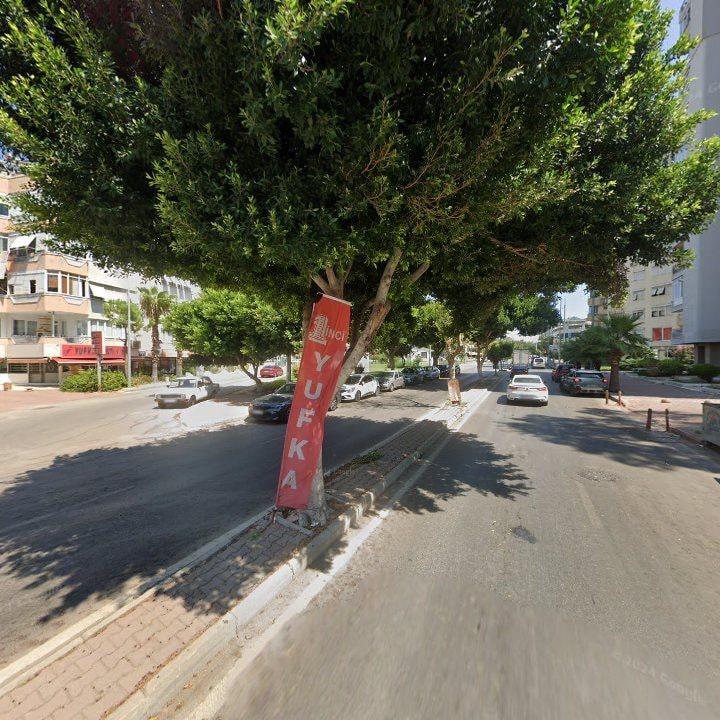Fotoğraf 15
