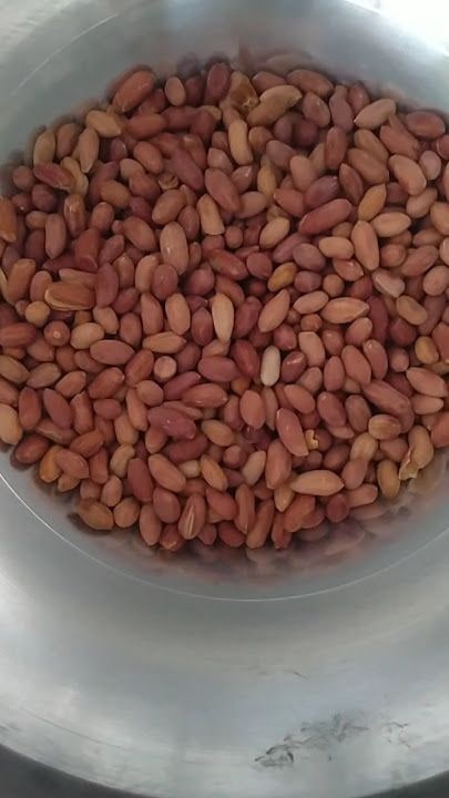 Fotoğraf 13
