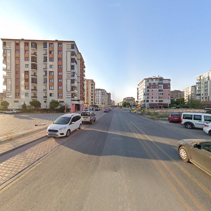 Fotoğraf 11