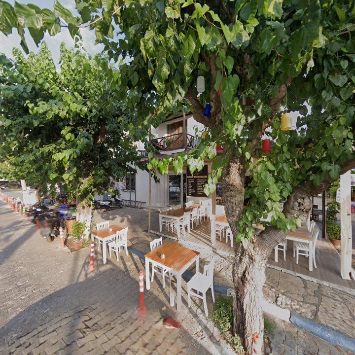 Fotoğraf 11