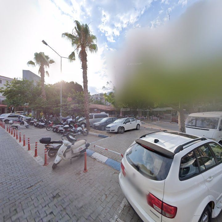Fotoğraf 9