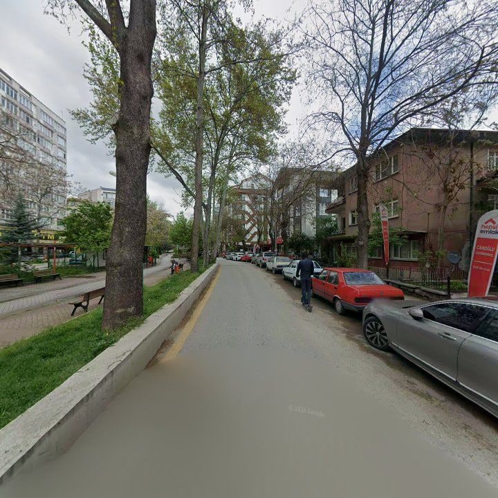 Fotoğraf 8
