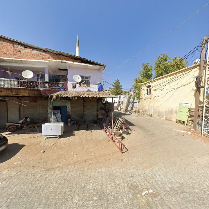 Fotoğraf 3
