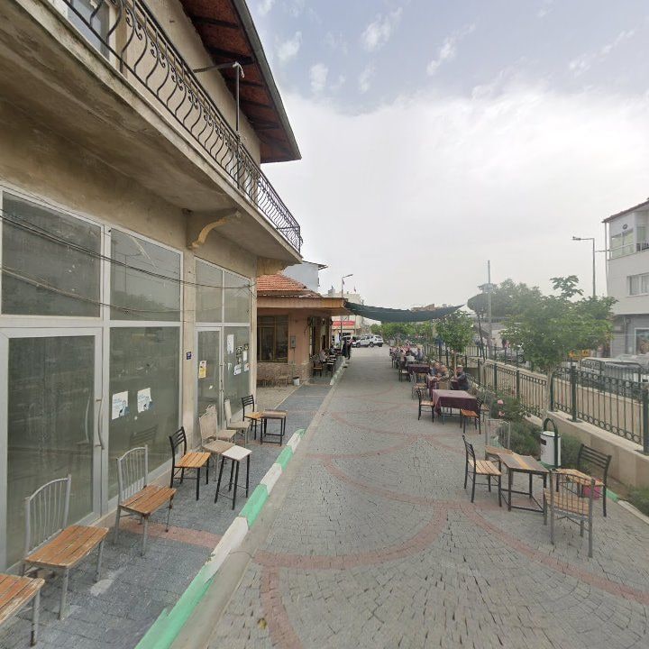 Fotoğraf 12