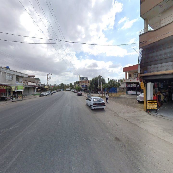Fotoğraf 8