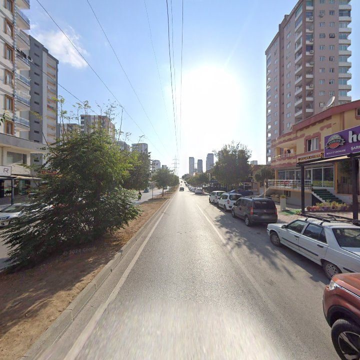 Fotoğraf 6