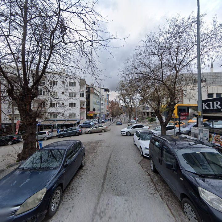 Fotoğraf 10