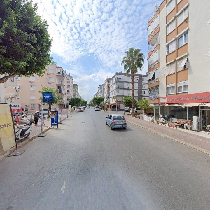 Fotoğraf 7