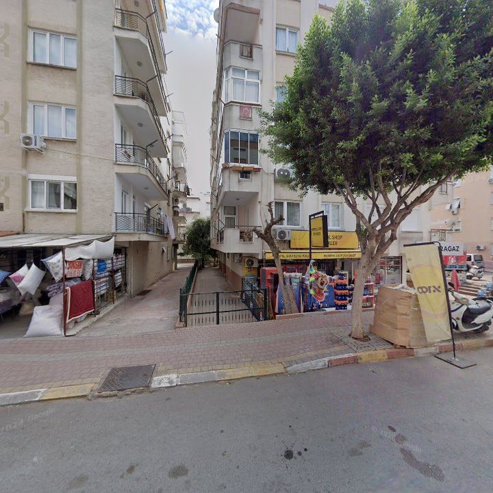 Fotoğraf 6