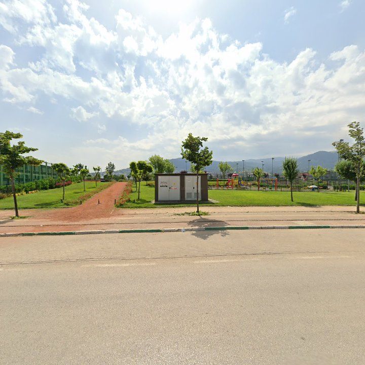 Fotoğraf 11
