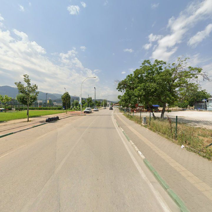 Fotoğraf 12