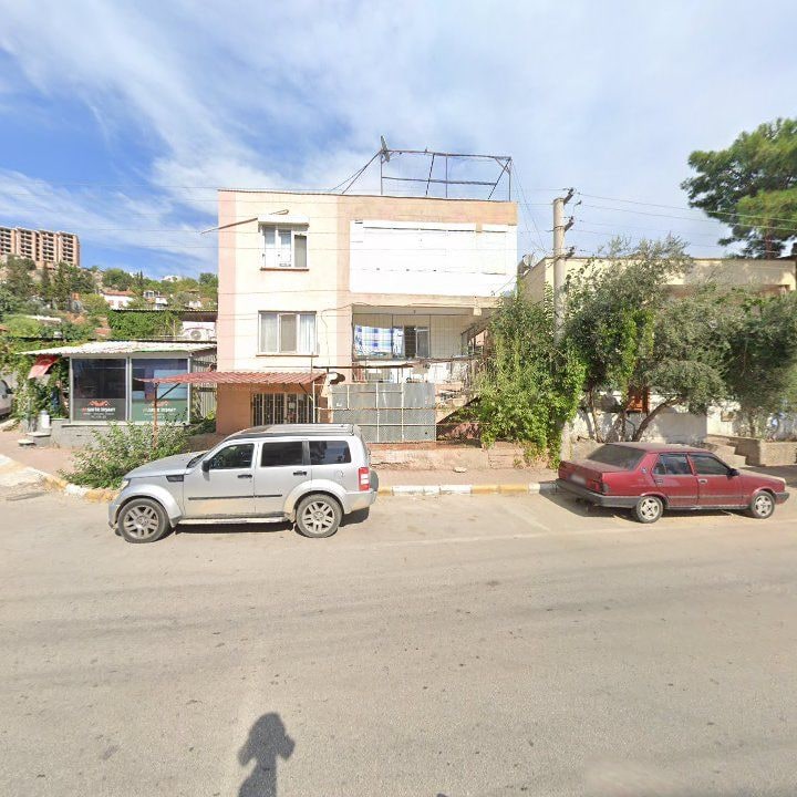 Fotoğraf 6