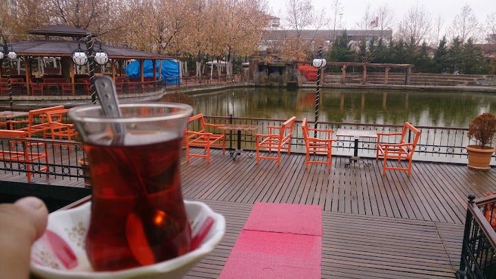 Sağlık Et