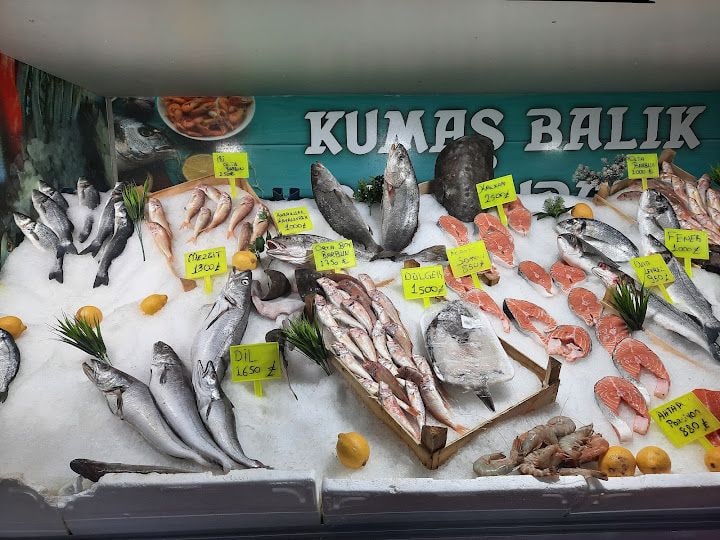 Şah Balıkçılık
