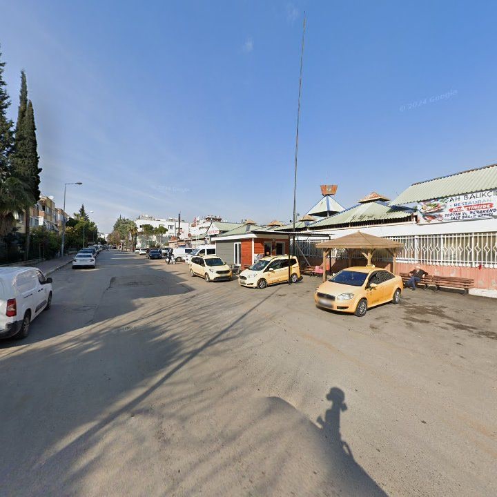 Fotoğraf 7
