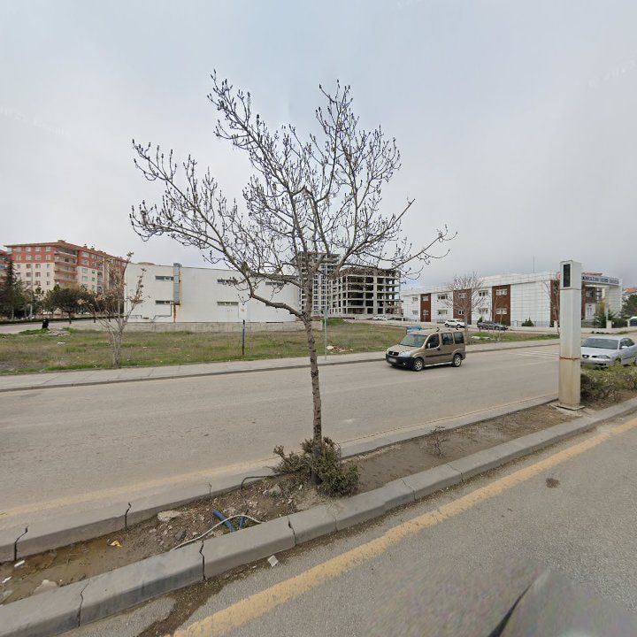Fotoğraf 11