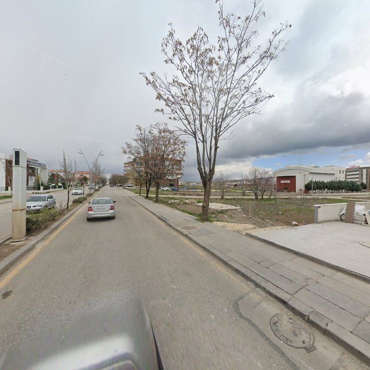 Fotoğraf 12