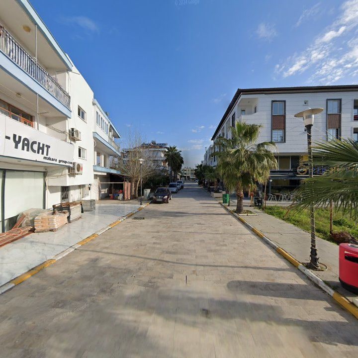 Fotoğraf 8