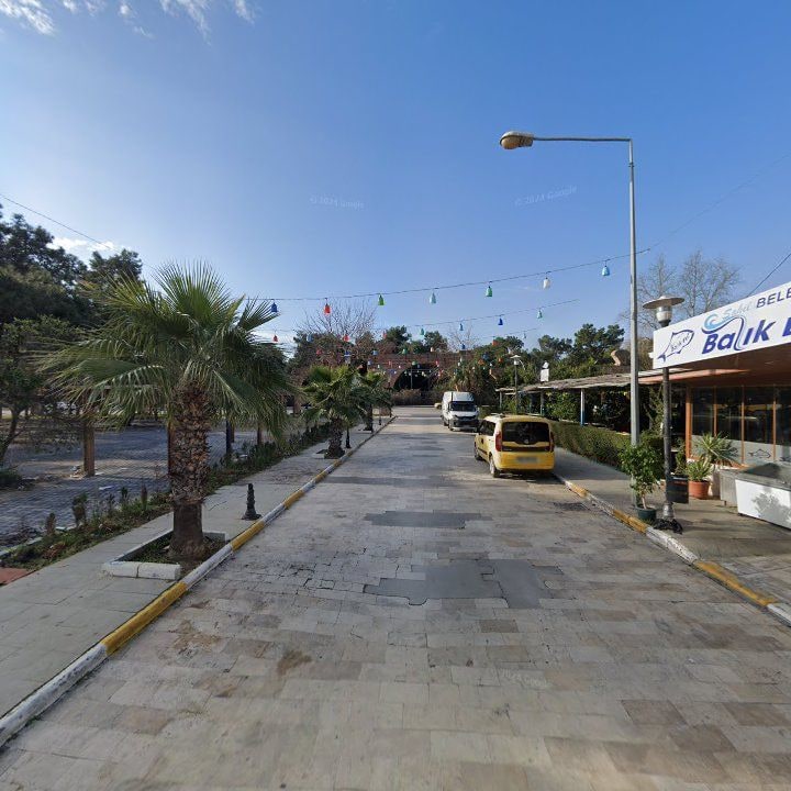 Fotoğraf 10