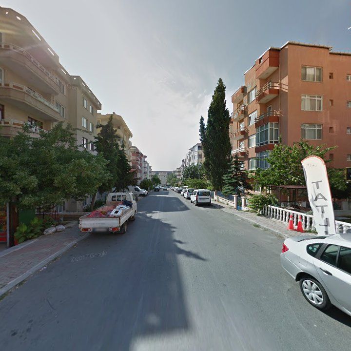 Fotoğraf 10