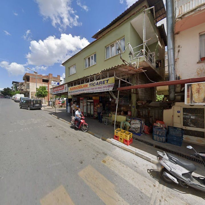 Fotoğraf 9