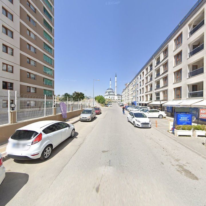 Fotoğraf 7