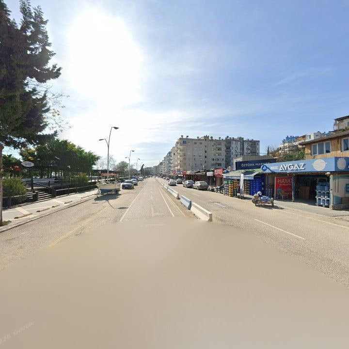 Fotoğraf 8