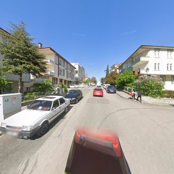 Fotoğraf 11