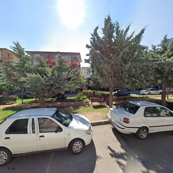 Fotoğraf 8