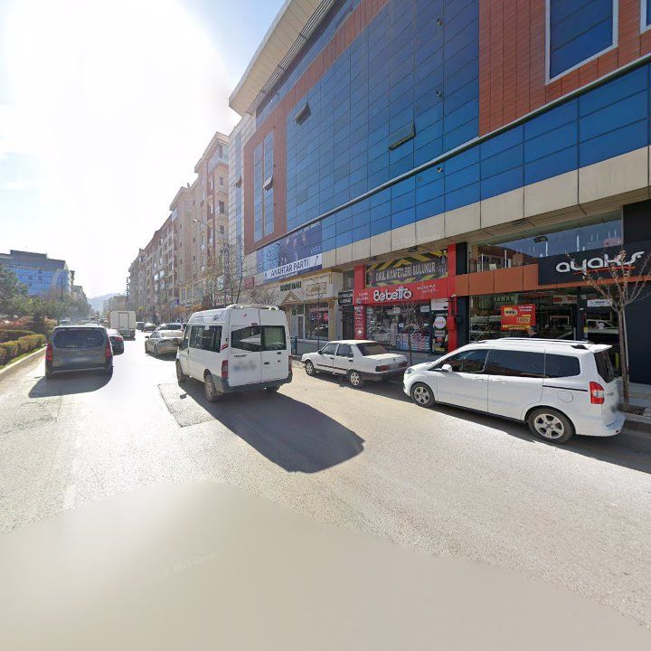 Fotoğraf 8