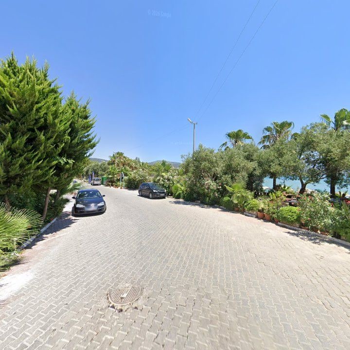 Fotoğraf 9
