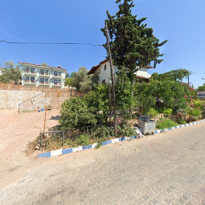 Fotoğraf 8