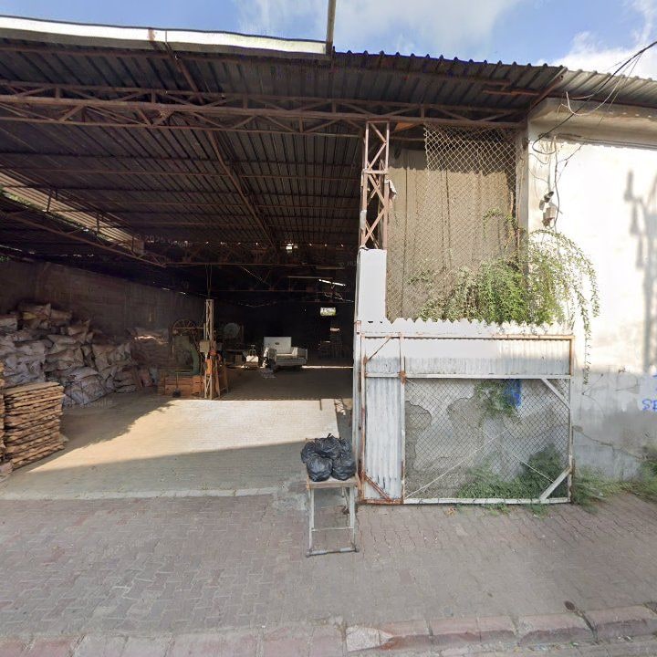 Fotoğraf 13
