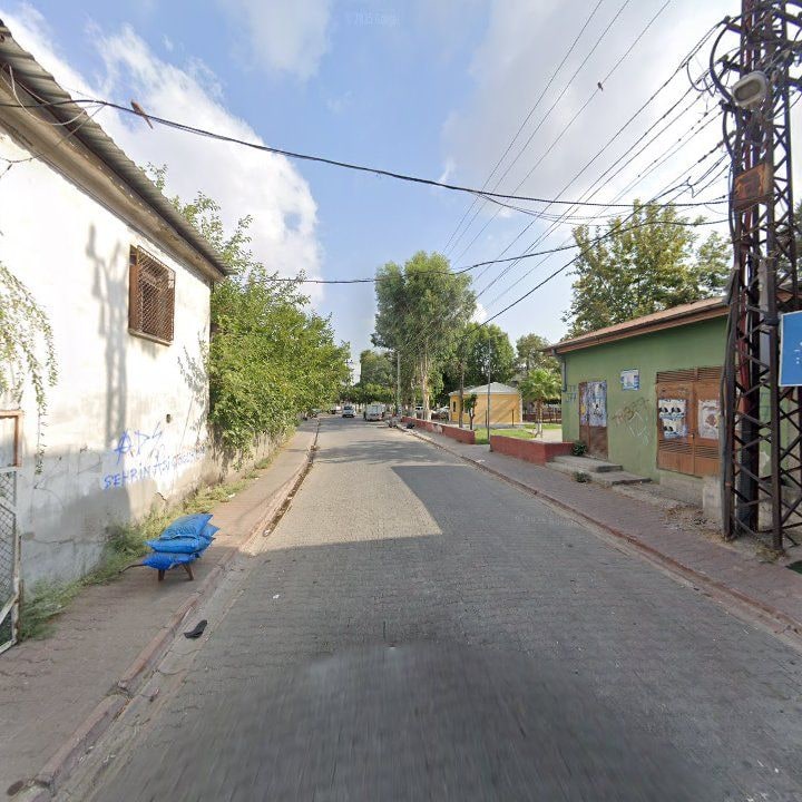 Fotoğraf 10
