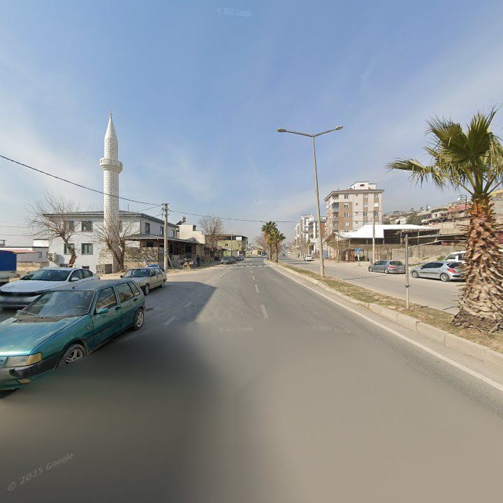 Fotoğraf 7