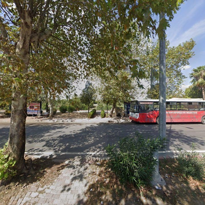 Fotoğraf 5