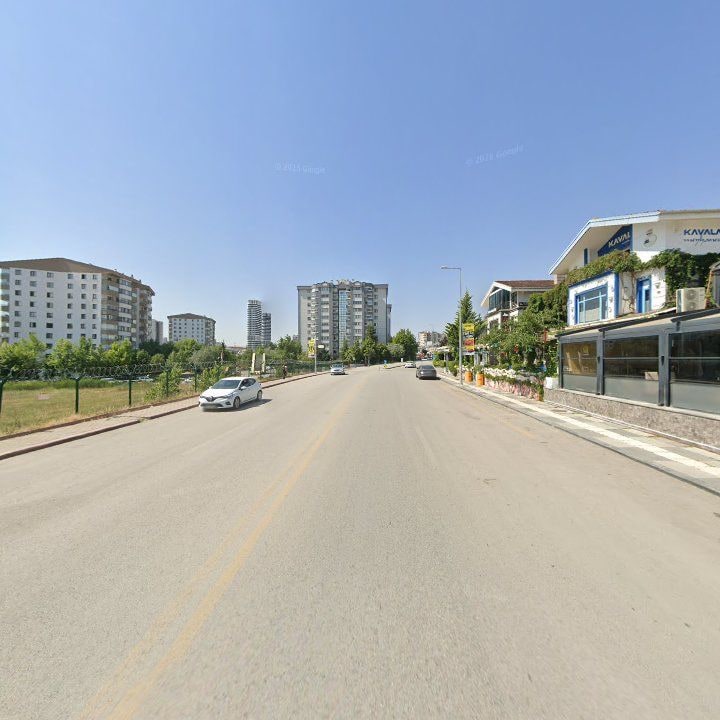 Fotoğraf 12