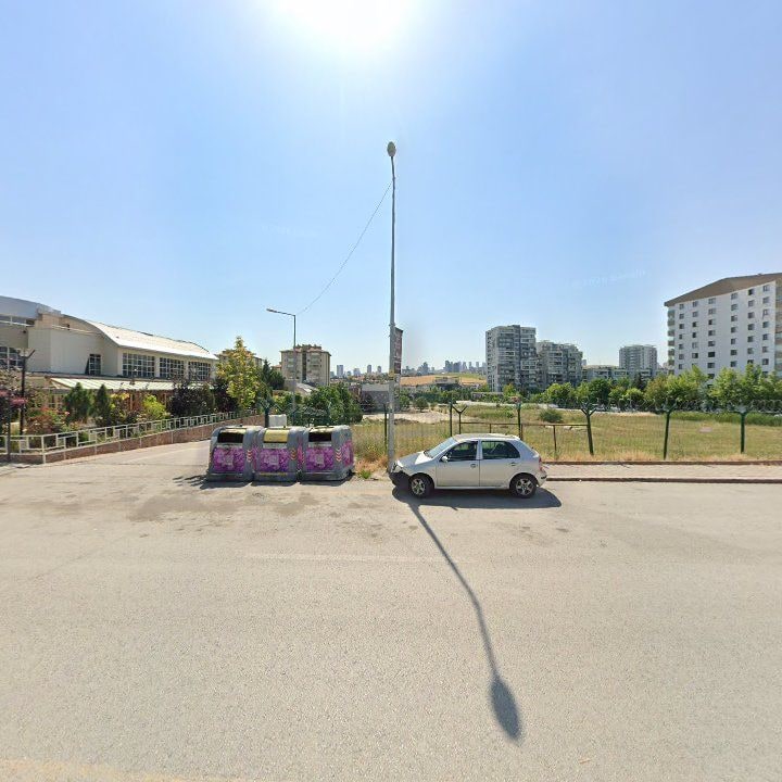 Fotoğraf 11