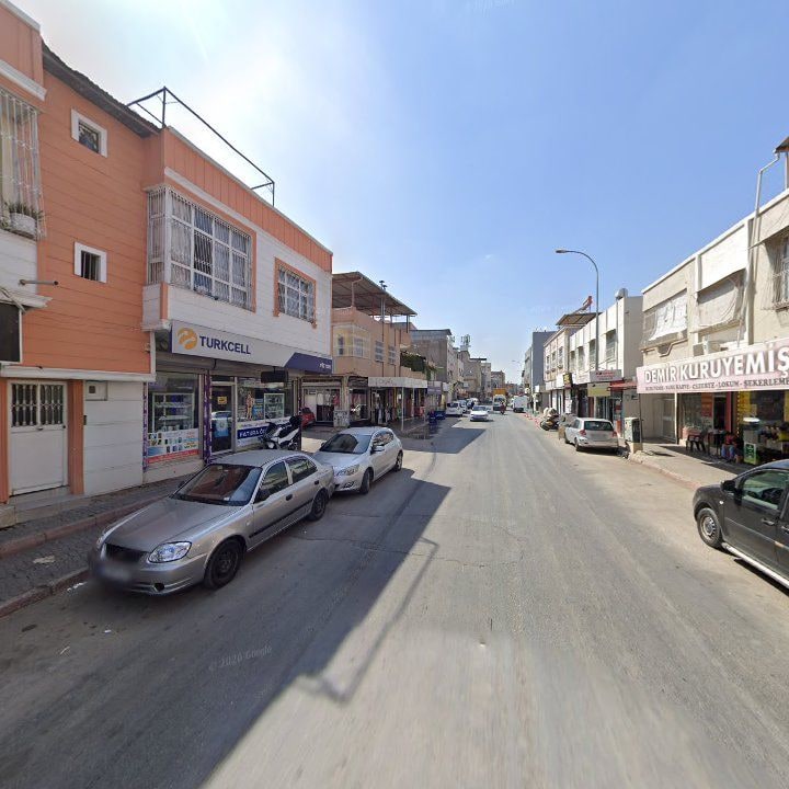 Fotoğraf 8
