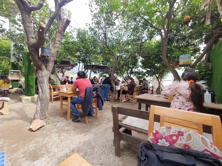 Fotoğraf 5